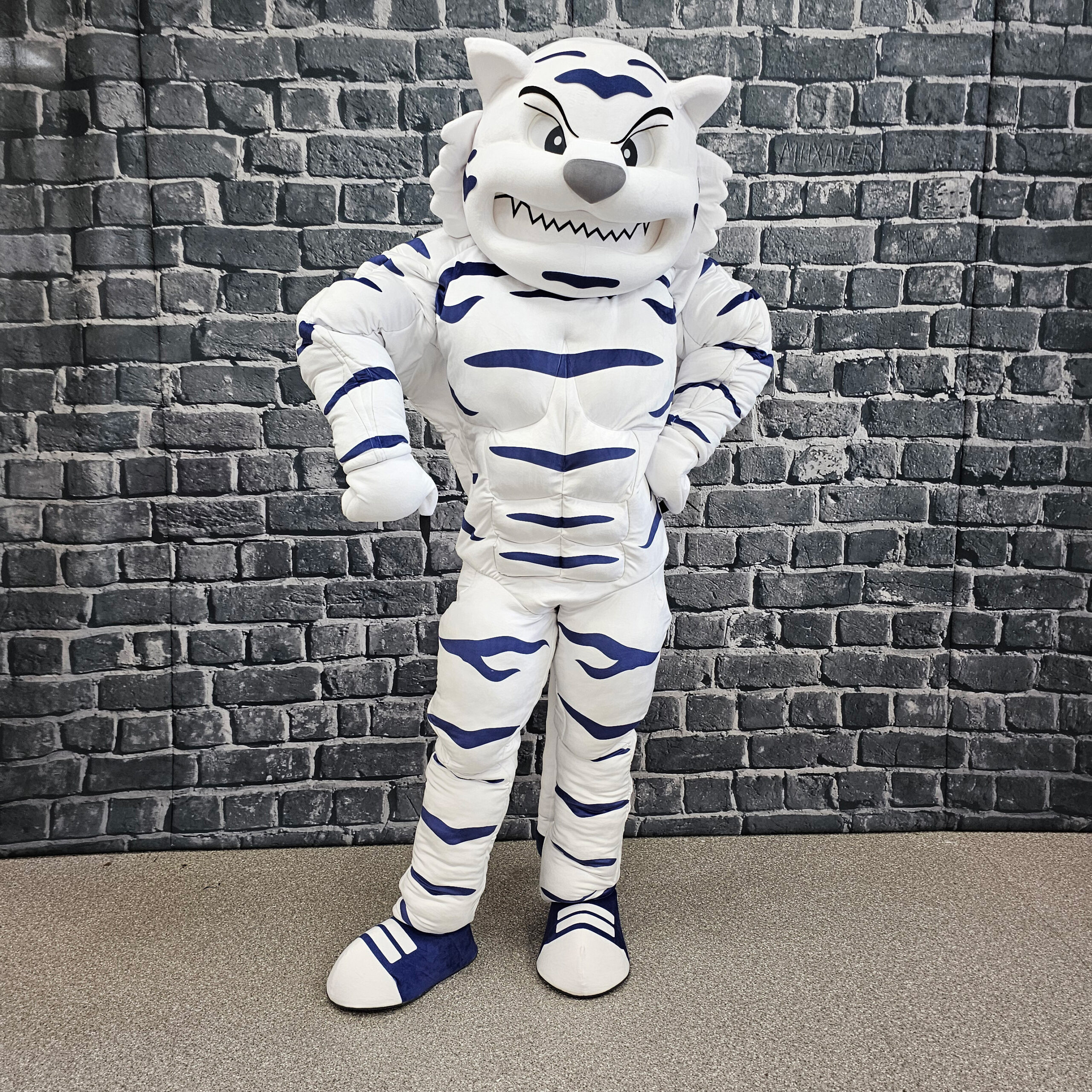 Mascot costumes